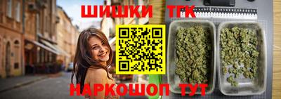 индика Новозыбков