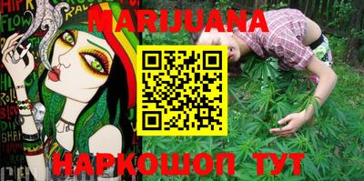 индика Новозыбков