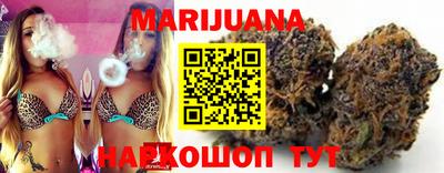 индика Новозыбков