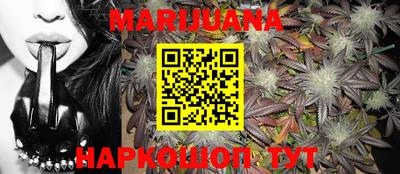 индика Новозыбков