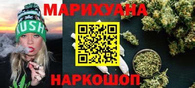 индика Новозыбков